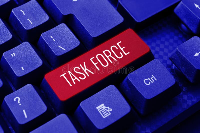 what is the meaning of task force