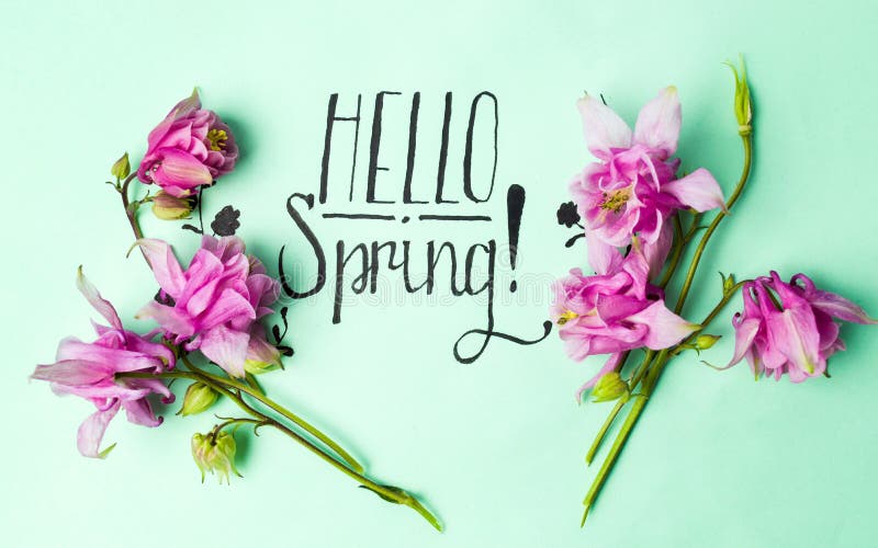 Handwritten Hello Spring card with pink flowers royalty free stock photography