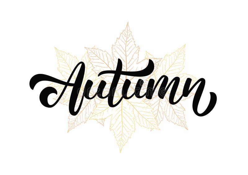 Fall script