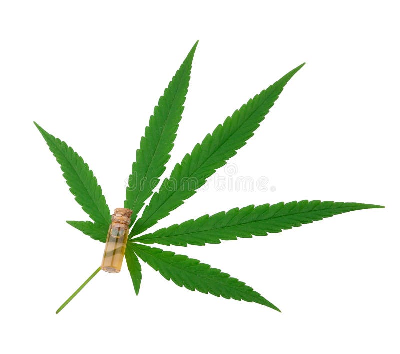 Hanf, Cannabisölauszüge in den Gläsern lizenzfreie stockfotos Hanf, Cannabisölauszüge in den Gläsern lizenzfreie stockfotos