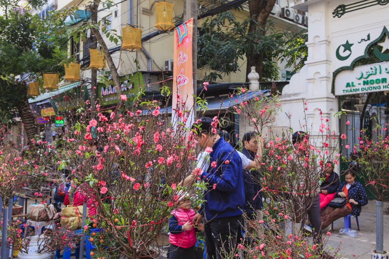 Hang Luoc Flower Market Pfirsichblumen, ha Noi Vietnam stockfoto Hang Luoc Flower Market Pfirsichblumen, ha Noi Vietnam stockfoto