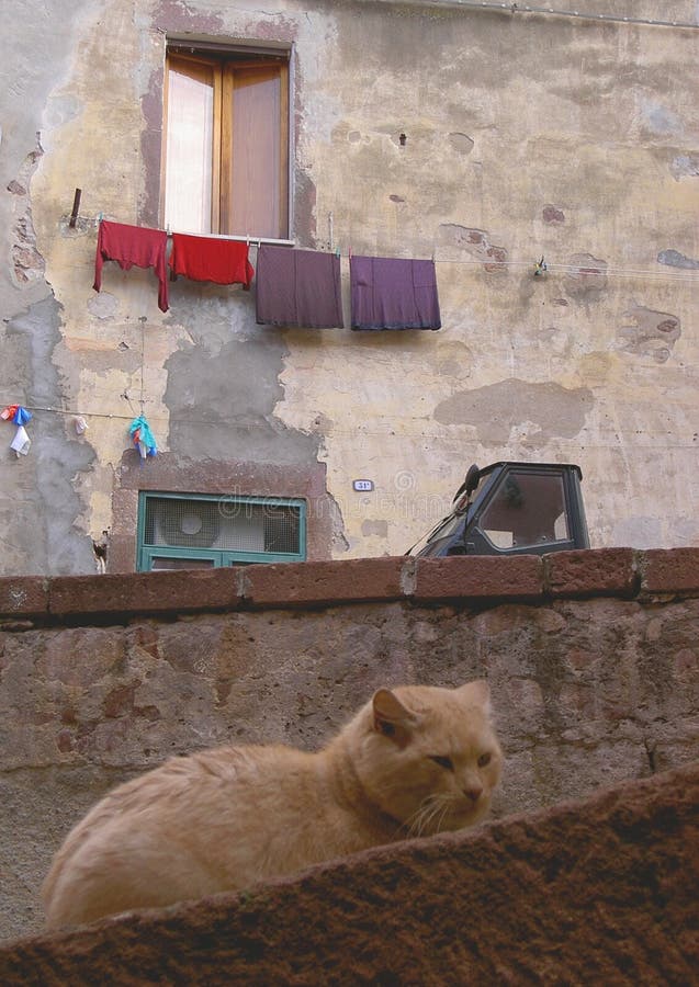 Hang Out stock photo. Image of hang, street, window, town - 85596