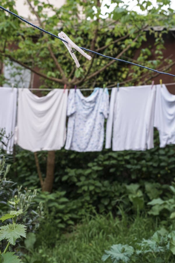 Hanged clothes at garden stock photo. Image of clothespin - 107173400