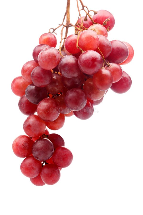 Hangende bos van rode druiven Close-up Geïsoleerde stock afbeeldingen