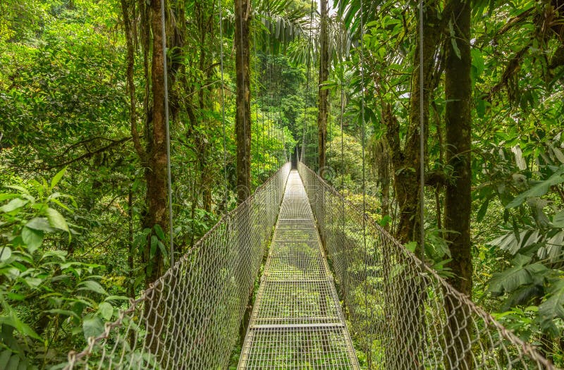 Hanging bridge in Costa Rica