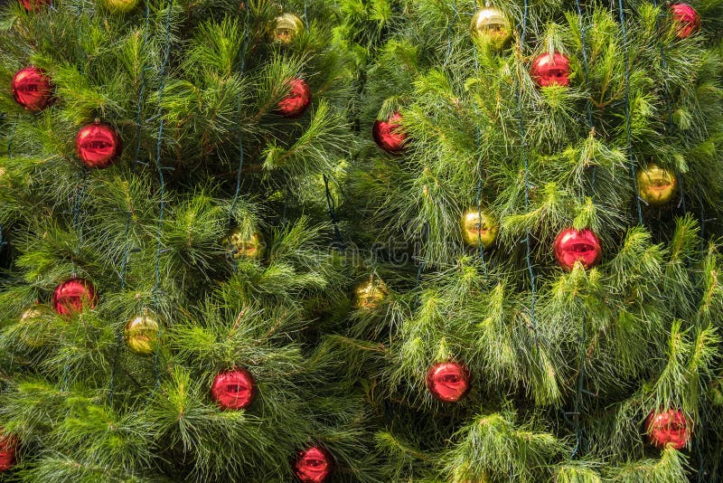 Hanging Christmas Balls on Tree Stock Image Image of balls, detail