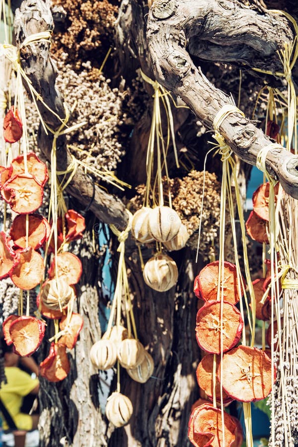 Hanging Dried Fruit and Vegetable, Food Theme Stock Photo Image of