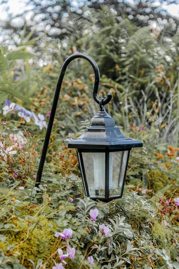 Hanging light in a garden