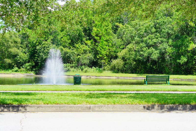 Hanging orange palm tree fruit stock image