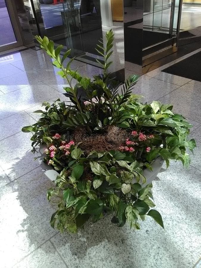 Hanging Plants and Pink Flowers in Round Stone Pot. Stock Photo Image