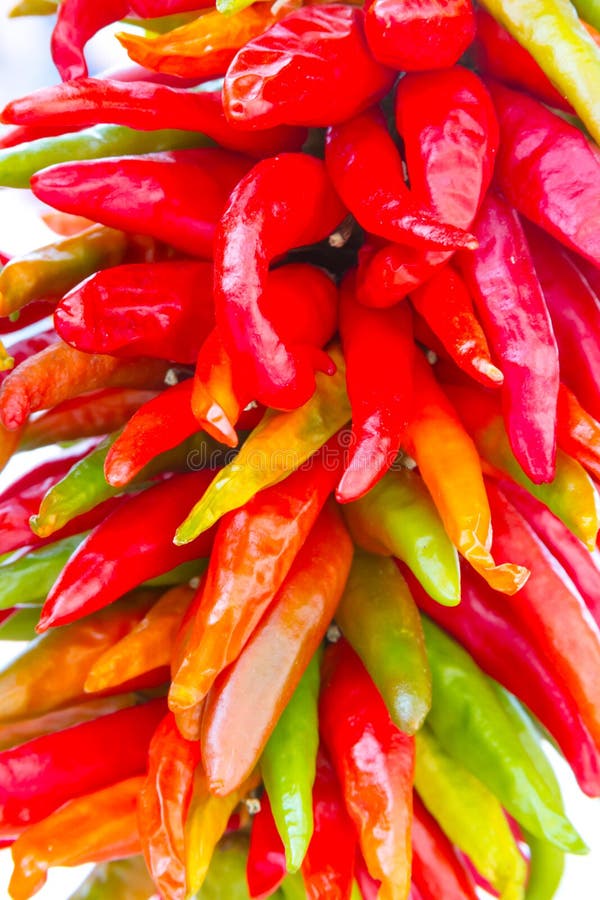Hanging Strand of Red Chili Peppers in New Mexico stock images Hanging Strand of Red Chili Peppers in New Mexico stock images