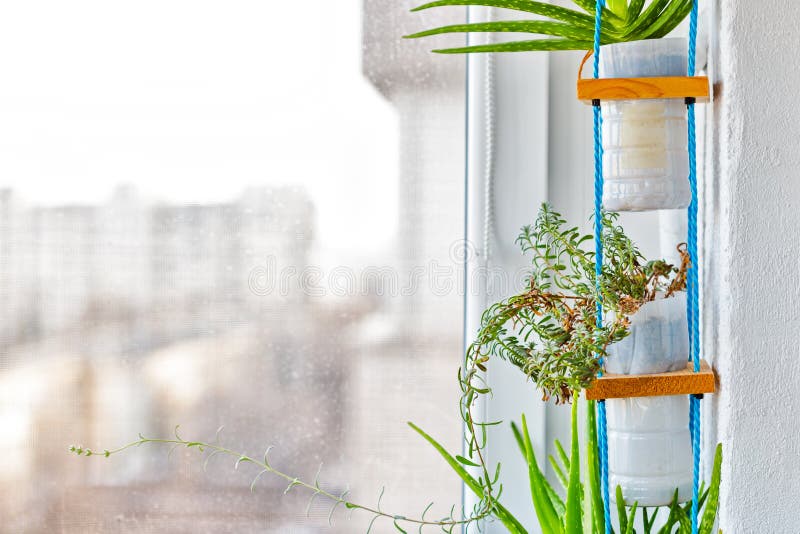 Hanging Upcycled Plastic Plant Pots Stock Photo Image of upcycled