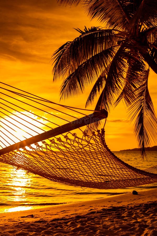 Hangmat op een palm tijdens mooie zonsondergang op de Eilanden van Fiji royalty-vrije stock foto's Hangmat op een palm tijdens mooie zonsondergang op de Eilanden van Fiji royalty-vrije stock foto's