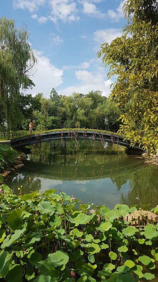 Hangzhou Jedwabniczy Muzealni naturalni cudy fotografia stock Hangzhou Jedwabniczy Muzealni naturalni cudy fotografia stock