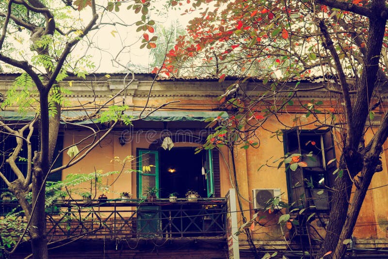 Hanoi, Vietnam - January 19, 2012: Indian almond tree with red leaves and old building in Hanoi ancient town