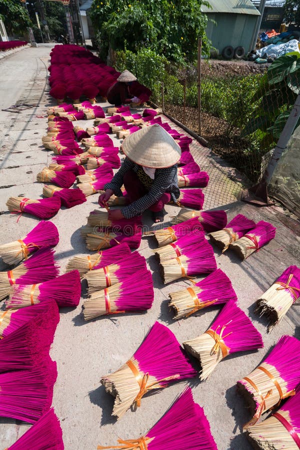 Hanoi, Vietnam - 28. Juli 2017: Räucherstäbchentrocknen im Freien mit dem vietnamesischen konischen Hut der Frauenabnutzung, der stockfotos Hanoi, Vietnam - 28. Juli 2017: Räucherstäbchentrocknen im Freien mit dem vietnamesischen konischen Hut der Frauenabnutzung, der stockfotos