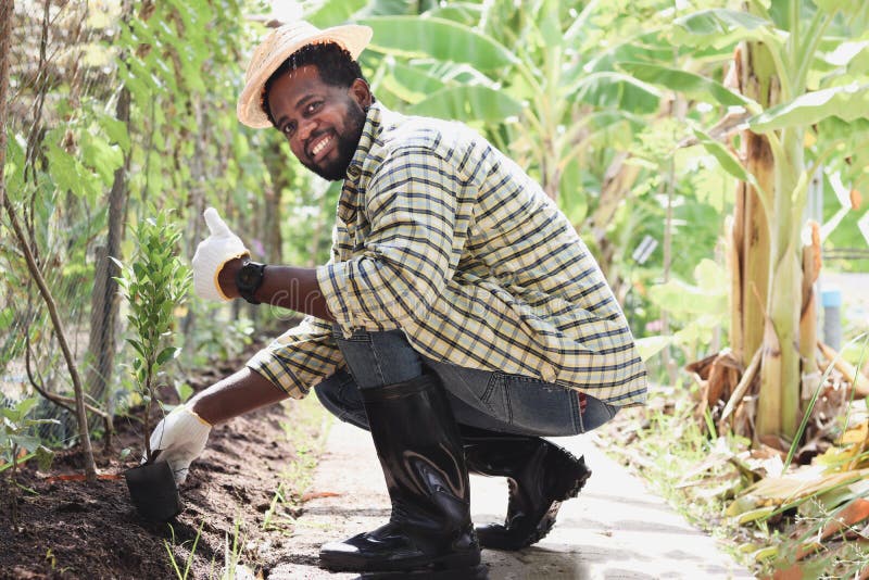 Happy African Man with Black Beard Holding Shovel Tool in Agricultural ...