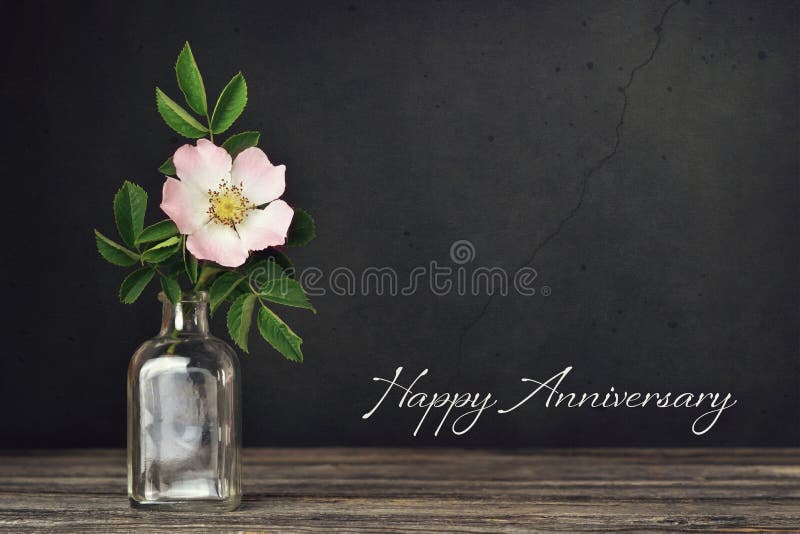 344,125 Happy Anniversary Stock Photos - Free & Royalty-Free Stock Photos  from Dreamstime