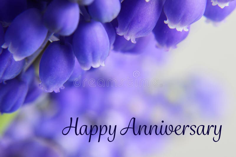 Happy Anniversary Card with Grape ...