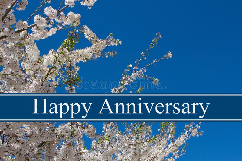 344,949 Happy Anniversary Stock Photos - Free & Royalty-Free Stock Photos from Dreamstime 344,949 Happy Anniversary Stock Photos - Free & Royalty-Free Stock Photos from Dreamstime