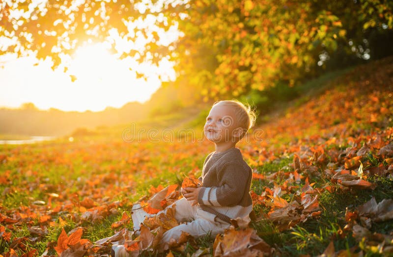 Happy baby playing with leaves in nature. Golden autumn. Smiling little boy with blonde hair plays at beautiful sunny royalty free stock photo