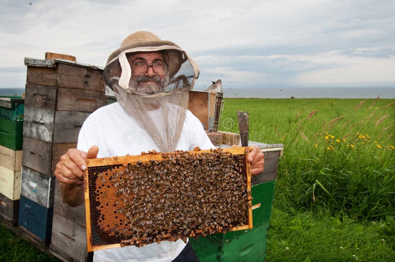 S úsměvem včelař má rám z zdravém úlu.