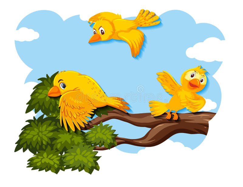 bird clipart