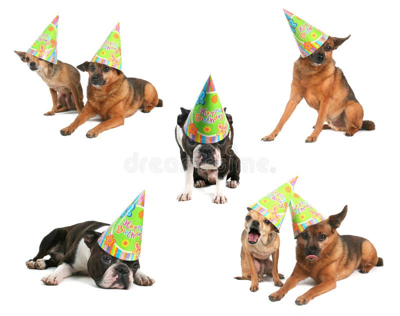 Happy birthday stock images Happy birthday stock images