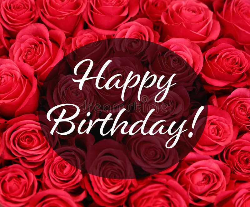 Happy Birthday Flowers on Red Background - Free Stock Photo