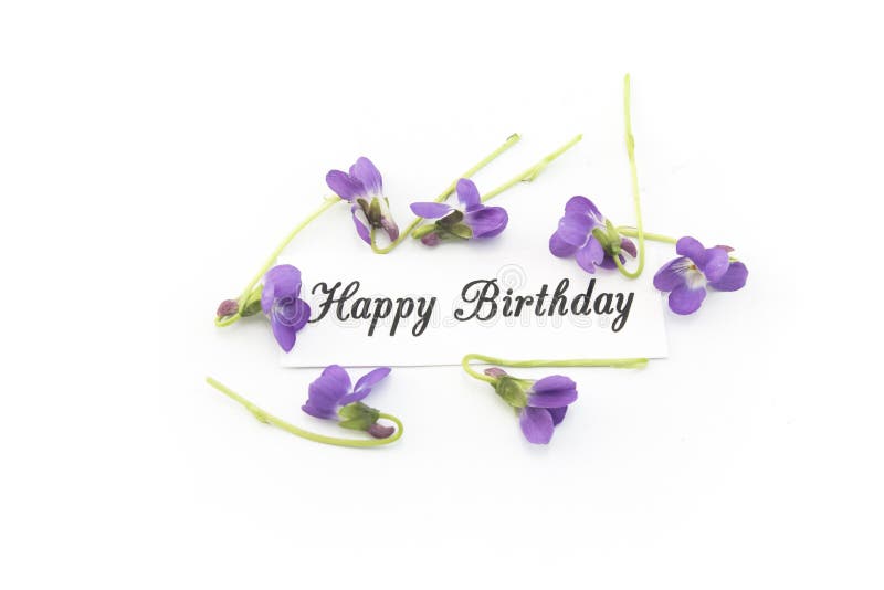 Happy Birthday Card with Violets stock photo