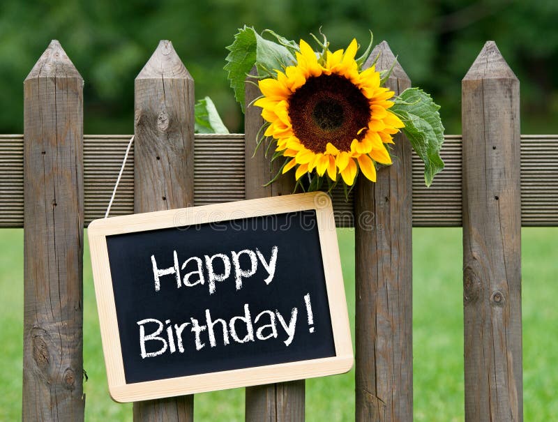Wooden fence with sunflower and chalkboard with the words Happy Birthday. Wooden fence with sunflower and chalkboard with the words Happy Birthday.