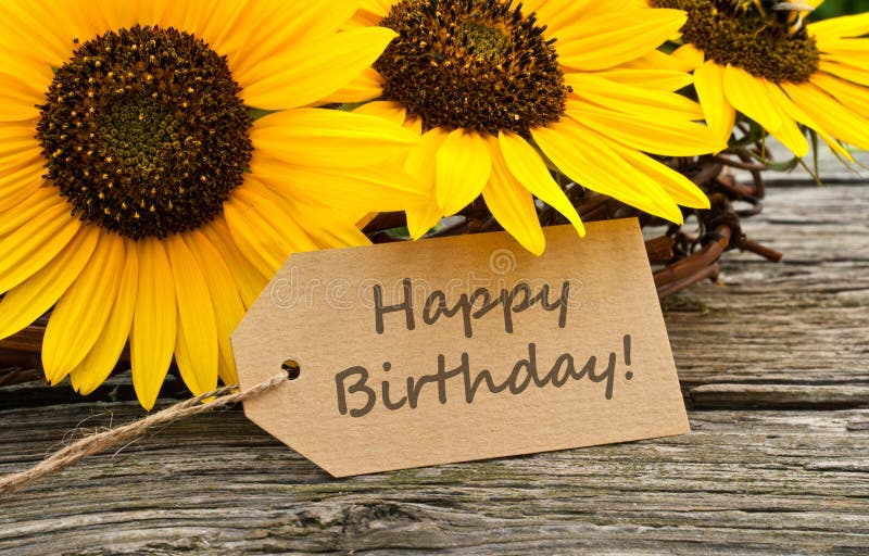 Happy Birthday Daughter Sunflower Images 273 Sunflower Happy Birthday Card Photos - Free & Royalty-Free Stock Photos From Dreamstime Happy Birthday Daughter Sunflower Images 273 Sunflower Happy Birthday Card Photos - Free & Royalty-Free Stock Photos From Dreamstime