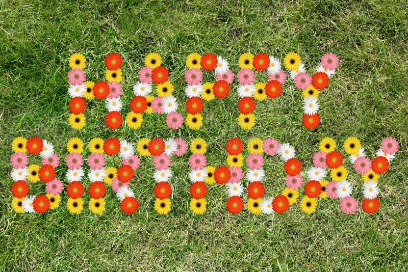 Happy Birthday with flowers flower nature meadow grass