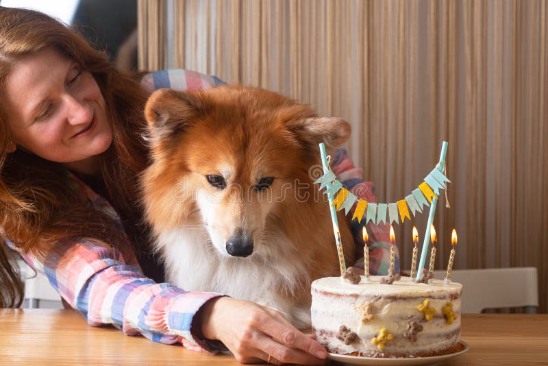 215 Happy Birthday Corgi Dog Stock Photos - Free & Royalty-Free Stock ...