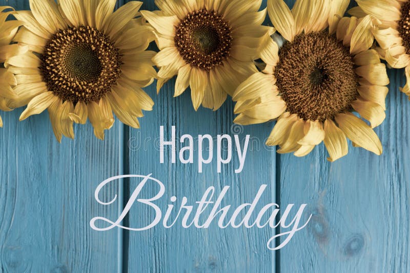 Happy Birthday. Birthday Greeting Card with Sunflower Flowers and a ...