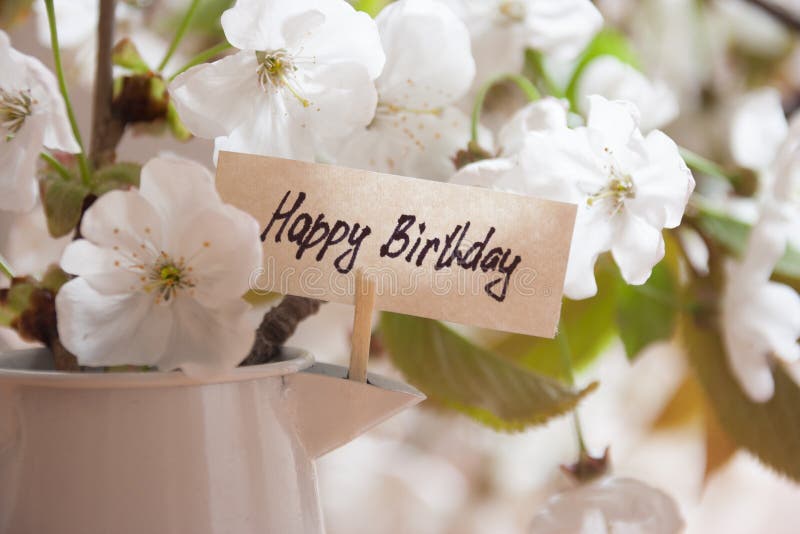 Happy Birthday Greeting Card. White flowers on a background.