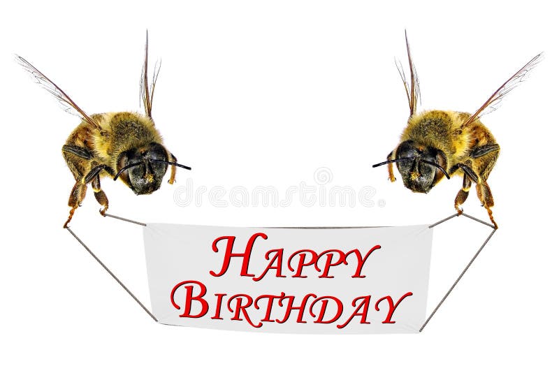 203 Happy Birthday Bee Photos - Free &amp; Royalty-Free Stock Photos from  Dreamstime