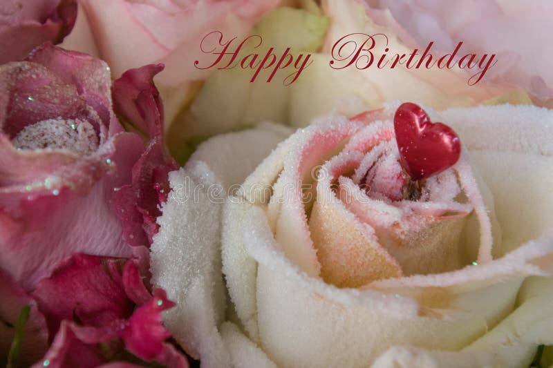 Happy birthday violet roses bouquet Royalty Free Vector