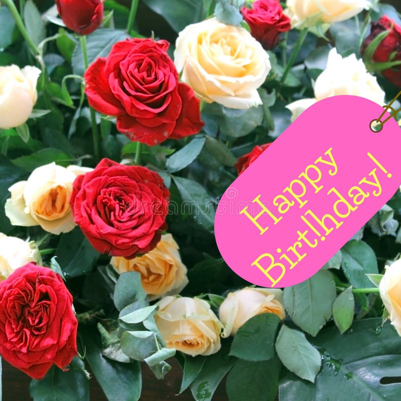 72,052 Happy Birthday Flowers Stock Photos - Free & Royalty-Free Stock  Photos from Dreamstime