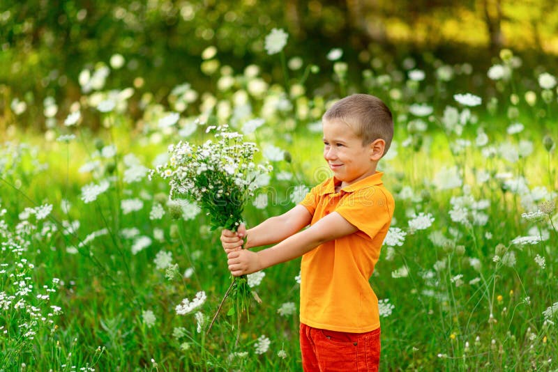 Happy Boy on the Field with Flowers Holding a Bouquet of Flowers ...
