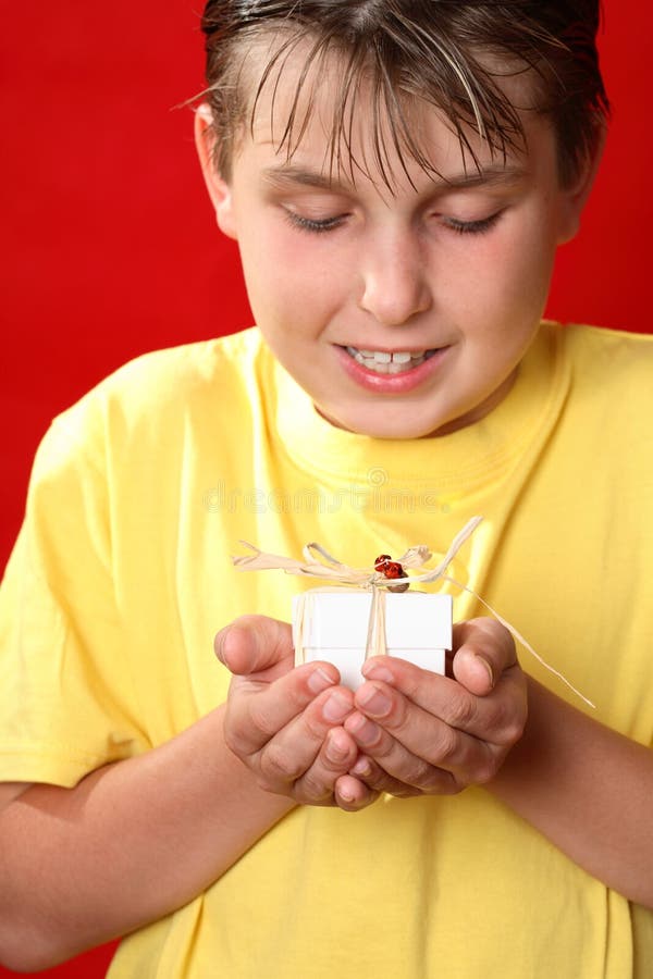 Happy Boy with Gift or Present Stock Photo Image of gift, holds 3525334