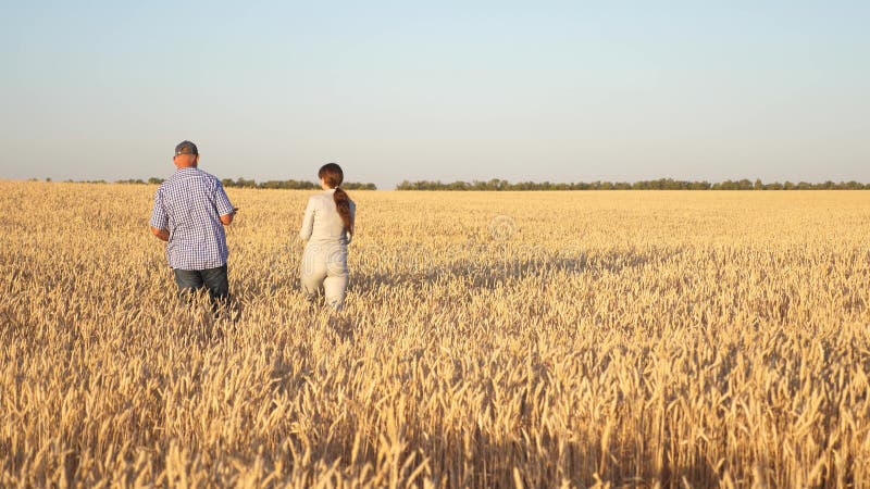 Happy Businessmen Farmers Discuss Wheat Crop On The Field Ripening