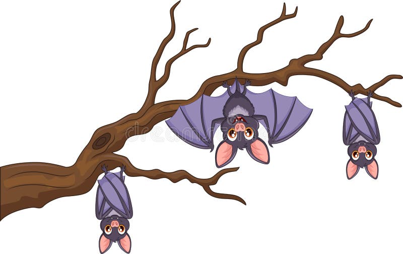 Cartoon Bat Hanging Stock Illustrations – 1,165 Cartoon Bat Hanging Stock  Illustrations, Vectors & Clipart - Dreamstime