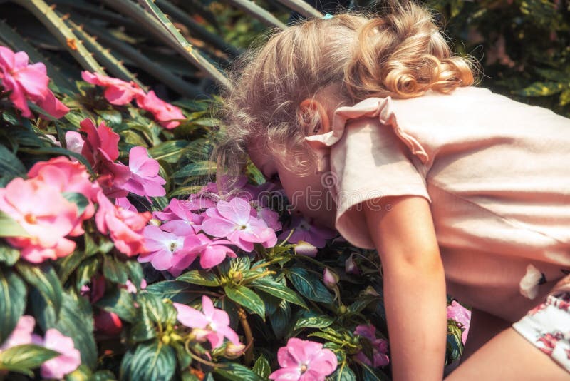 Happy child girl smells beautiful flowers in blossoming summer park concept love nature lifestyle stock image