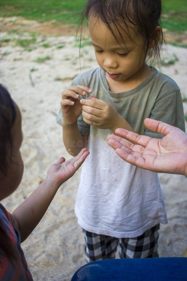Happy child playing with sand, Funny Asian family in a park stock images Happy child playing with sand, Funny Asian family in a park stock images