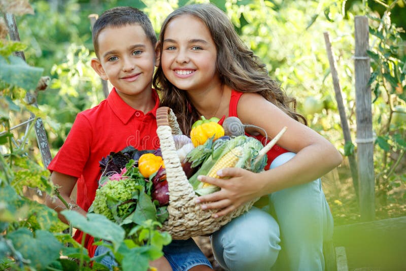 Happy children with vegetables in the vegetable garden. Season of fresh vegetables.