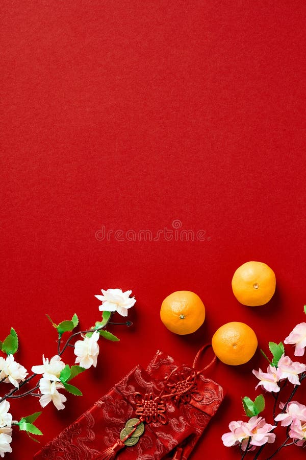 Chinese new year 2023 lucky red envelope money Vector Image