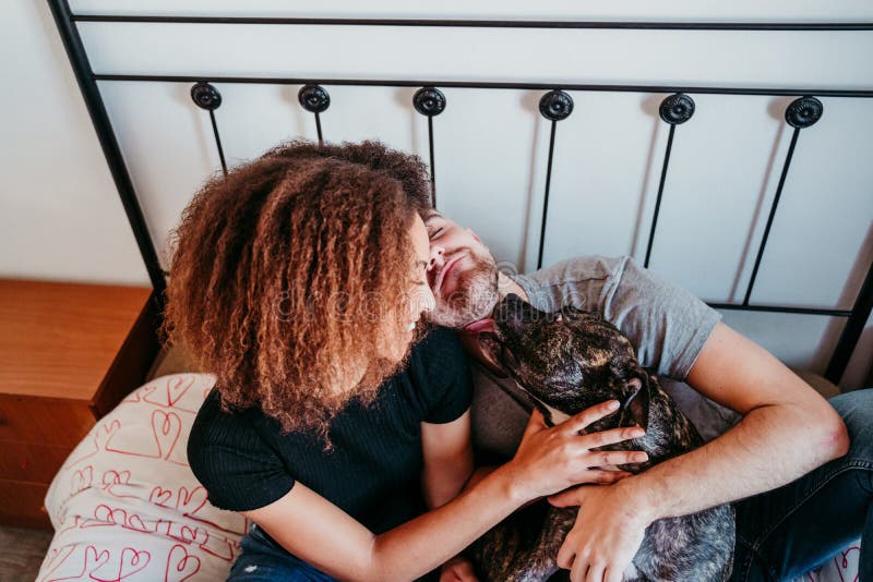 happy couple in love at home. Afro american woman, caucasian man and their pit bull dog together. Family concept stock photography happy couple in love at home. Afro american woman, caucasian man and their pit bull dog together. Family concept stock photography