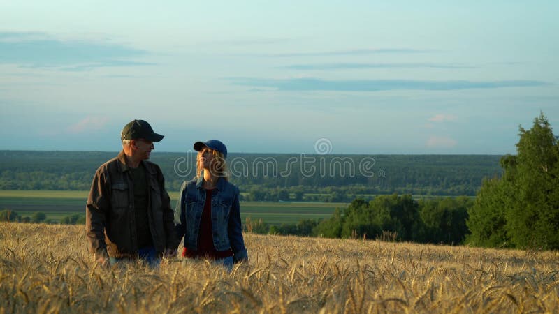 Happy couple, middle-aged man and woman talking and smiling while walking on wheat field at sunset summer evening.