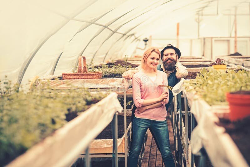 Happy couple working in green house. Smiling blond woman holding hand fork and bearded man in hat standing between rows stock images Happy couple working in green house. Smiling blond woman holding hand fork and bearded man in hat standing between rows stock images